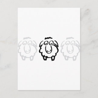 black sheep white sheeps postcard