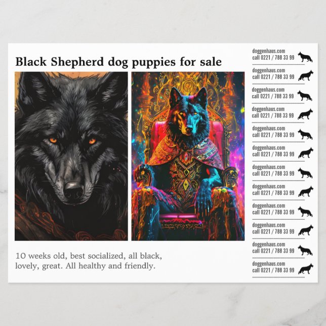 Black Shepherd dog  Flyer (Front)