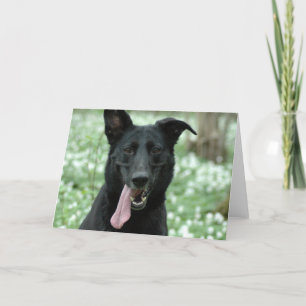 Black Shepherd Greeting Card