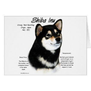 Black Shiba Inu  History 