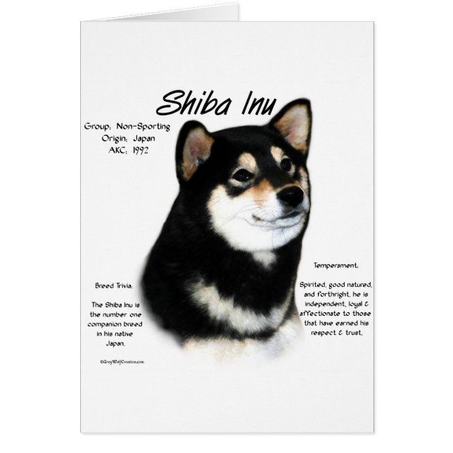 Black Shiba Inu  History  (Front)