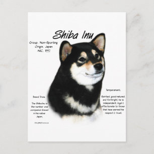 Black Shiba Inu  History  Postcard