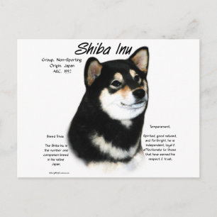 Black Shiba Inu  History  Postcard