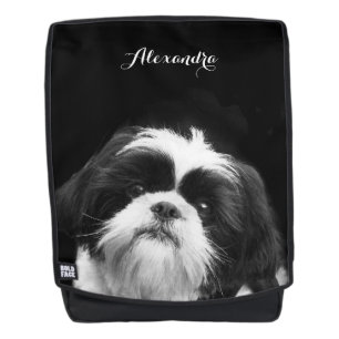 black Shih Tzu dog boldface backpack