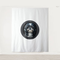 black shih tzu