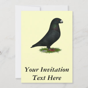 Black Show Racer Invitation