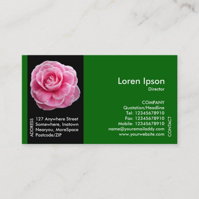 Black Side Band Flower - Pink Camellia - Green Business Card (Front)