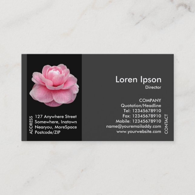 Black Side Band Flower - Pink Camellia II Business Card (Front)