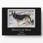 Black Silver Frame Pet Memorial Template