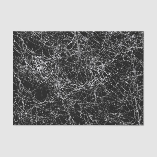 Black & Silvery Spider Webs Chic Halloween Party Tissue Paper (Front)