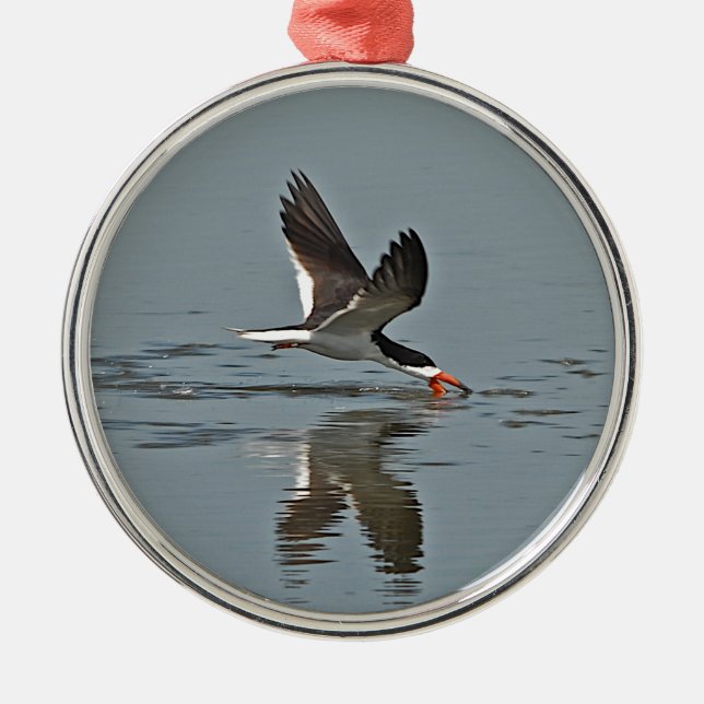 Black Skimmer Photo Metal Tree Decoration (Front)