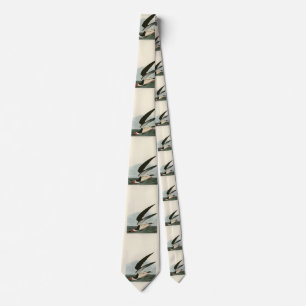 Black Skimmer, Shearwater Audubon Birds of America Tie