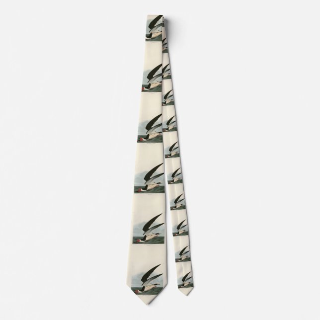 Black Skimmer, Shearwater Audubon Birds of America Tie (Front)