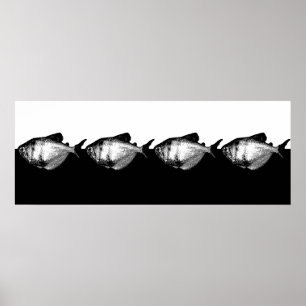 Black Skirt Tetra School Poster