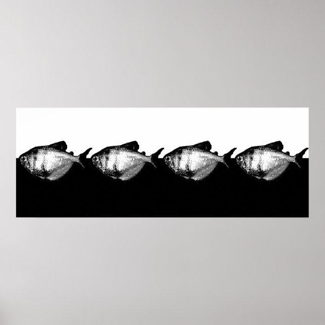 Black Skirt Tetra School Poster (Front)