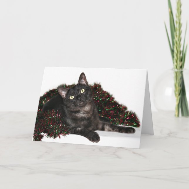 Black smoke cat Christmas Holiday Card (Front)