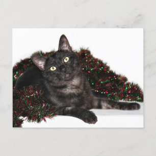 Black smoke cat Christmas Holiday Postcard