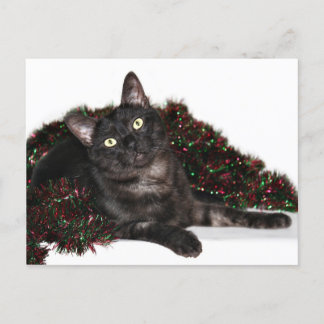 Black smoke cat Christmas Holiday Postcard