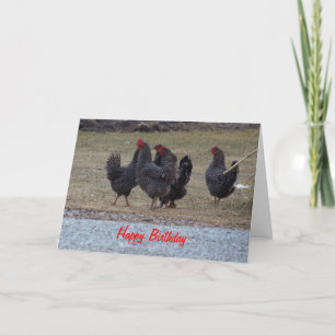 Black Speckled Chickens, Birthday Card