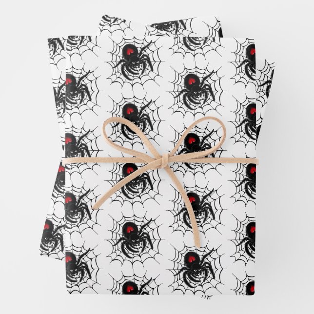 Black Spider in Web Wrapping Paper Sheet (In situ)