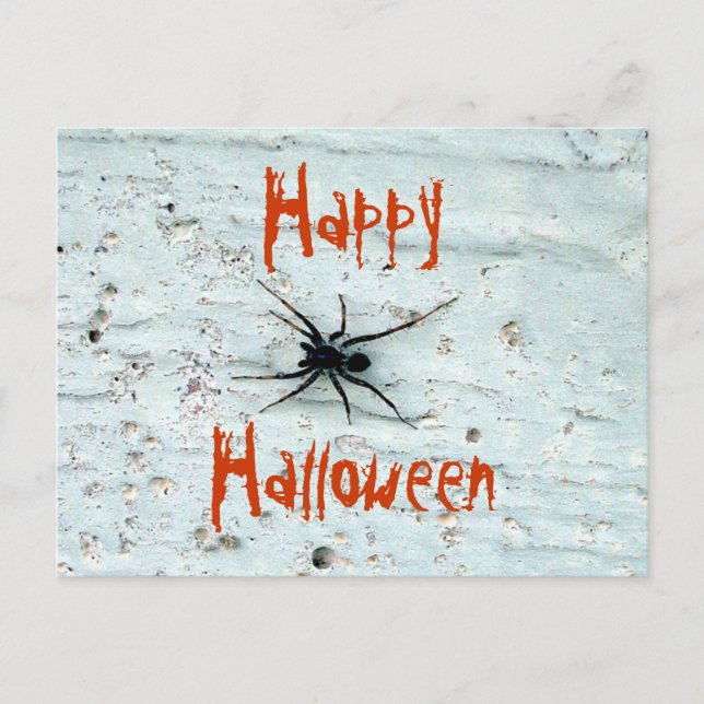 Black Spider Postcard (Front)