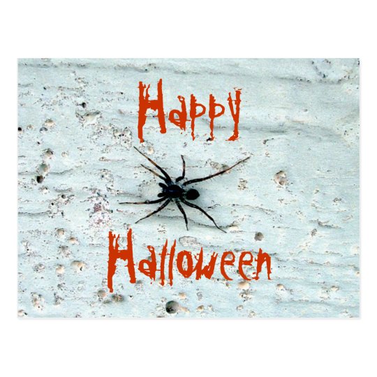 Black Spider Postcard