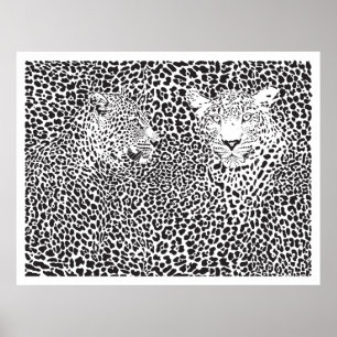 Black Spots Leopards Camouflaged Poster