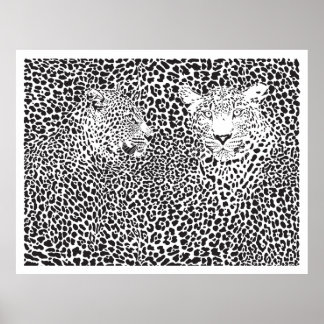 Black Spots Leopards Camouflaged Poster