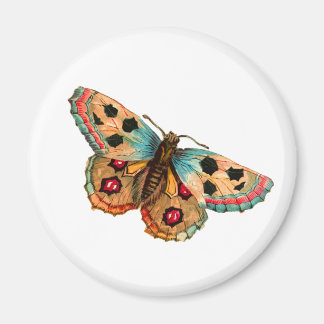 Black Spotted Butterfly Magnet