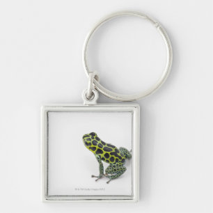 Black Spotted Green Poison Dart Frog Key Ring