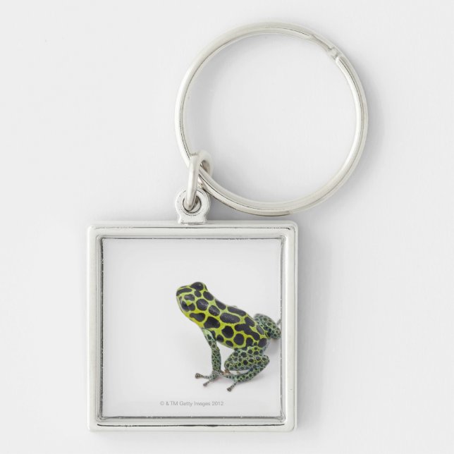 Black Spotted Green Poison Dart Frog Key Ring (Front)