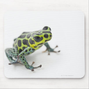 Black Spotted Green Poison Dart Frog Mouse Mat