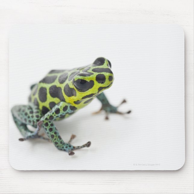 Black Spotted Green Poison Dart Frog Mouse Mat (Front)