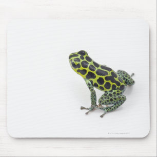 Black Spotted Green Poison Dart Frog Mouse Mat
