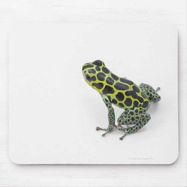 Black Spotted Green Poison Dart Frog Mouse Mat (Front)