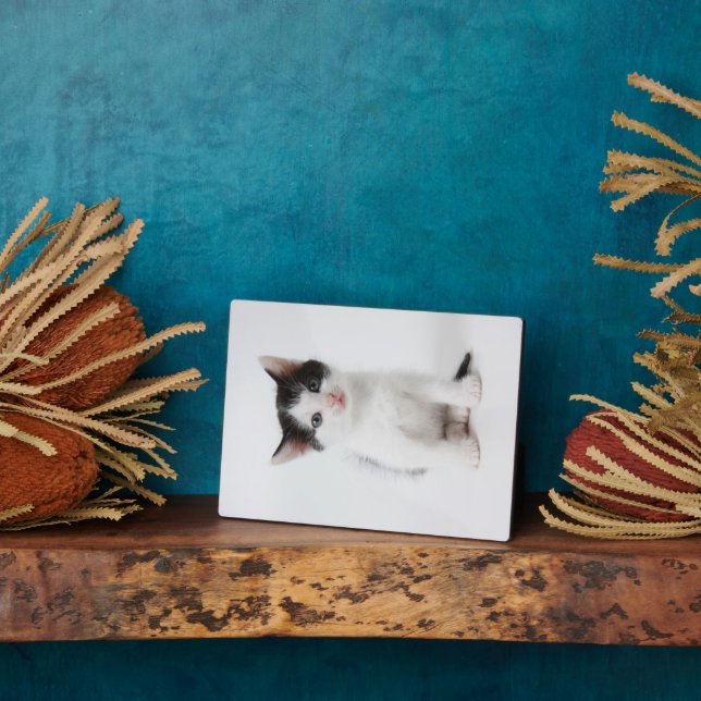 Black Spotted Kitten Plaque (Side)