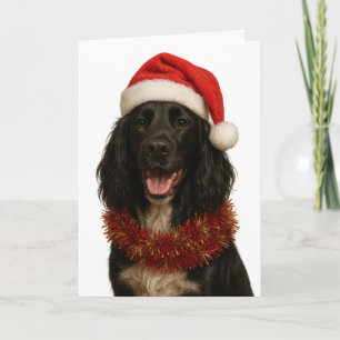Black Sprocker / Springer Spaniel Christmas card