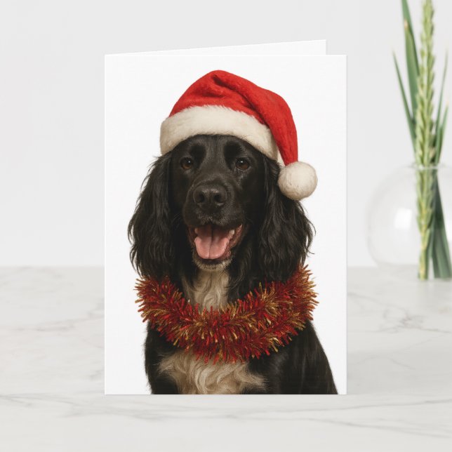Black Sprocker / Springer Spaniel Christmas card (Front)