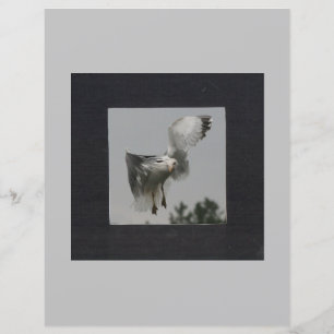 Black Square on Grey Photo Frame