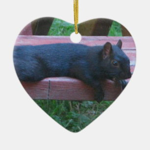 Black Squirrel Ceramic Tree Decoration