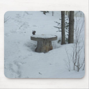 Black Squirrel Having Breafast Mouse Mat