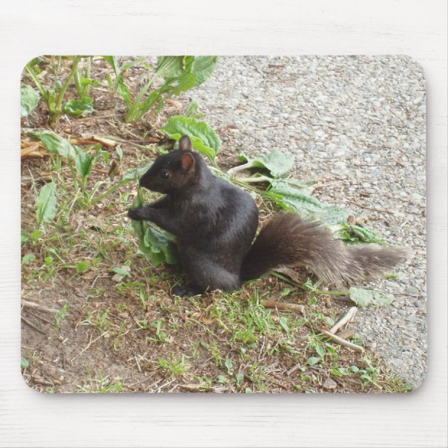 Black Squirrel Mouse Mat (Front)