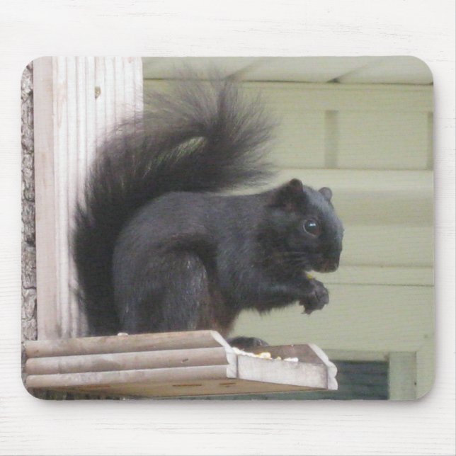 Black Squirrel Mouse Pad (Front)