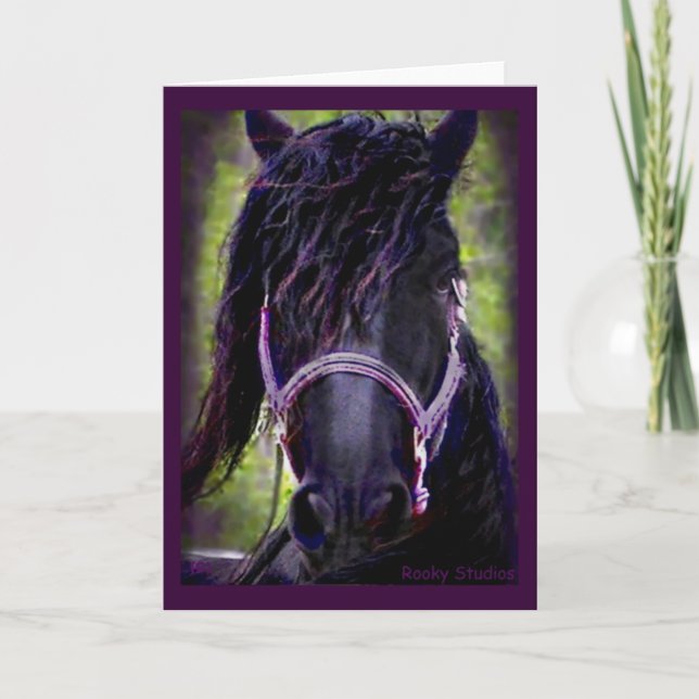 Black Stallion Card (Front)