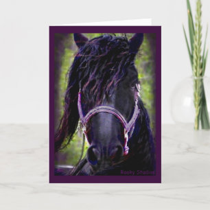 Black Stallion Card