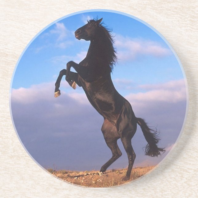 Black Stallion Coaster (Front)