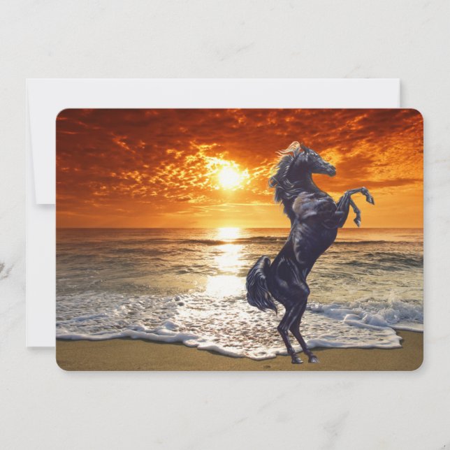 Black Stallion Horse On The Beach Holiday Card (Front)