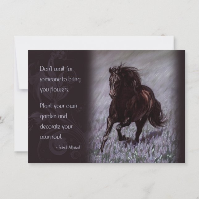 Black Stallion in a Field of Dreams (Front)