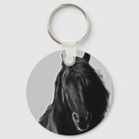 Black Stallion