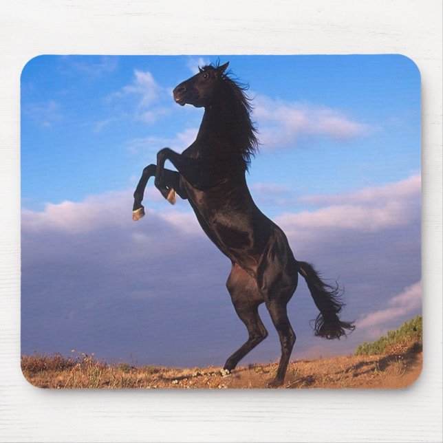 Black Stallion Mouse Mat (Front)
